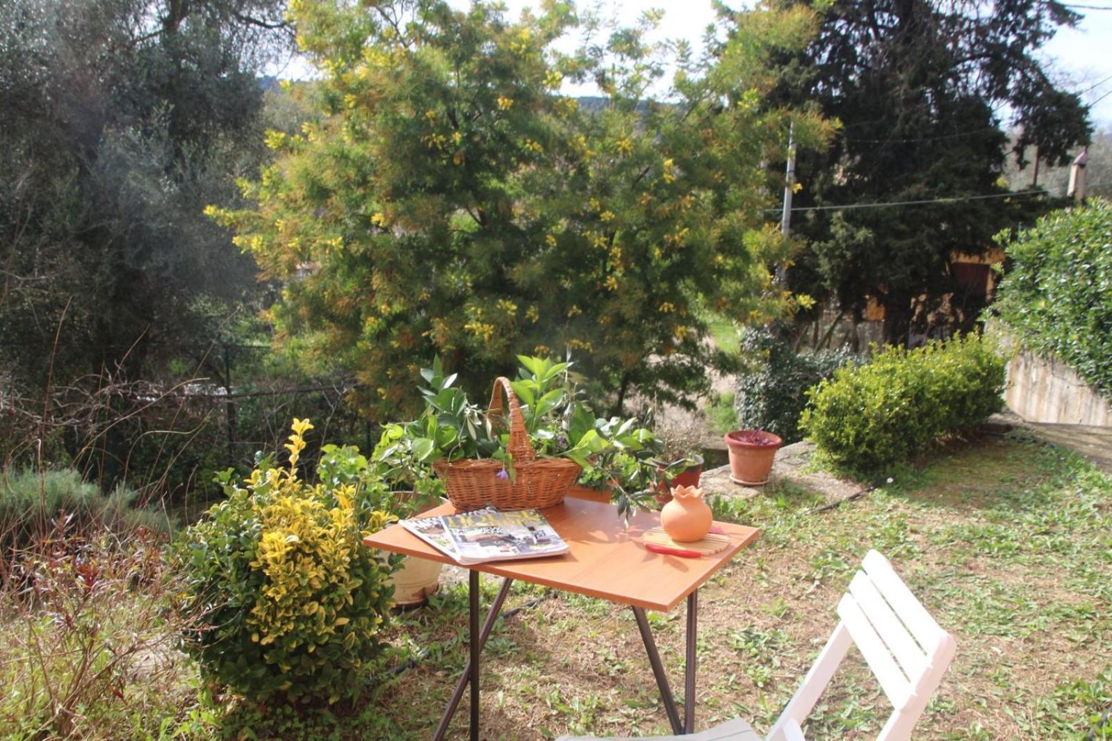 Olive Luxouri Gazátika Exterior foto